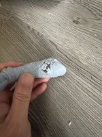 IMG_0623.jpeg